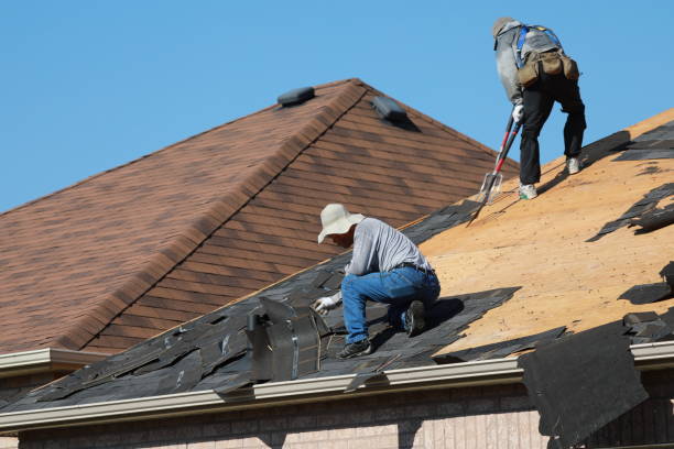 Professional  Roofing repair and installation in Thornville, OH